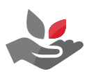 011517721.png
